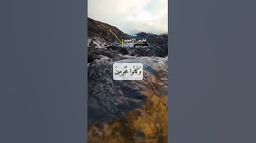 سورة هود الايه 116-119