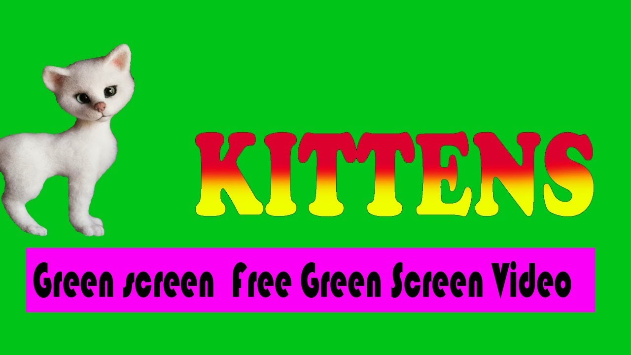 green screen kittens - YouTube