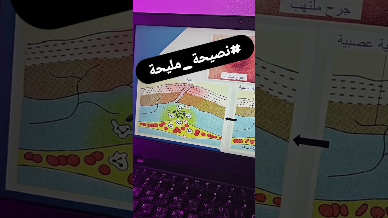 نصيحة مليحة للرابعة متوسطة حول البلعمة متراطيش