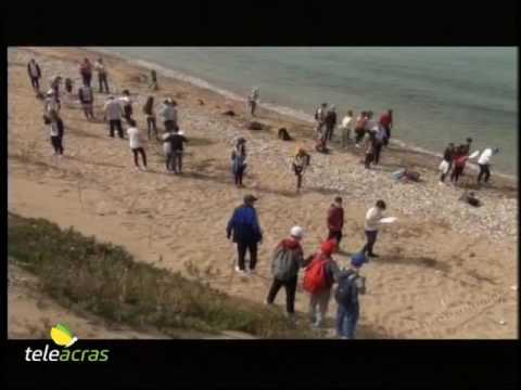 Teleacras - A San Leone "Beach litter"