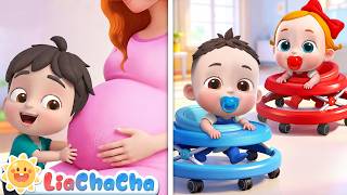 where did i come special compilation family songs kids liachacha