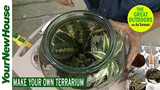 Build Your Own Terrarium - The Great Outdoors (indoors)