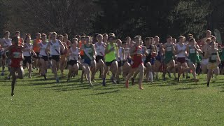 2014 IHSA Boys State Cross Country Meet, November 8, 2014