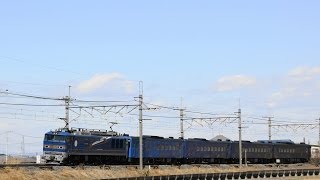 みちのくSLギャラクシー号 EF510-515牽引 2014.3.8