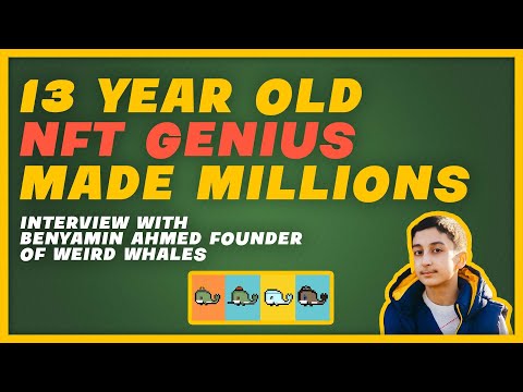 This 13 Year Old Built a Multi Million Dollar NFT Collection