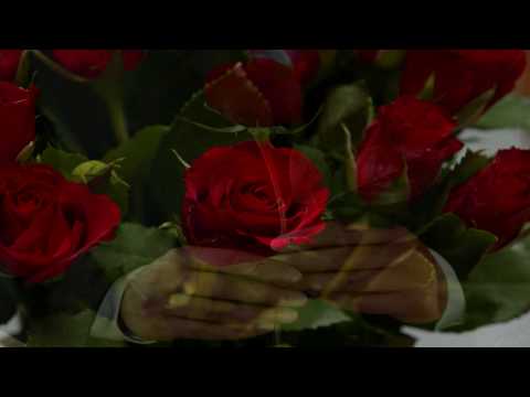 INESSA GALANTE 58th tribute. My tittle , Roses for...
