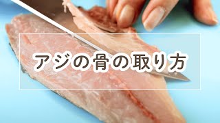 アジの三枚おろしの下処理 骨の取り方 料理の基本 Youtube アジの三枚おろしの下処理 骨の取り方 料理の基本 Youtube
