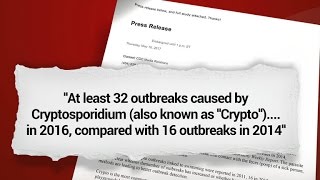 Outbreaks in pool parasite infection doubles