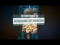 Die Verdauung des Menschen (Animation)