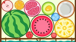 WATERMELON GAME - 2048 Merge Watermelon: Fruit Crush (SUIKA GAME) screenshot 5
