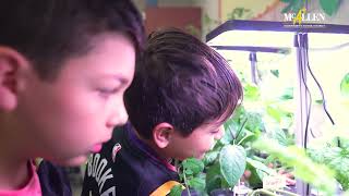 MEF Grant: Castaneda Elem. students gain understanding of plants | McAllen ISD