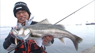 神戸港の沖堤防でルアーゲーム　喰い渋るシーバスを狙え！/四季の釣り/2017年4月14日放送