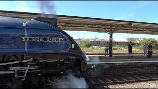60007 Sir Nigel Gresley & 5043 Earl of Mount Edgcumbe at Taunton and Exeter 30/05/26