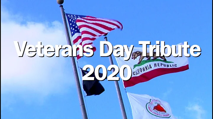 Veterans Day Tribute 2020