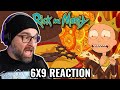 RICK AND MORTY 6X9 REACTION &#39;&#39;A Rick in King Mortur&#39;s Mort&#39;&#39;