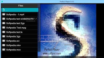 Perfect Player Free Download