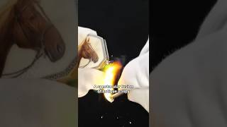 Not a Lighter — A Rare Mechanical Masterpiece