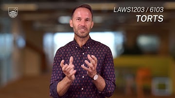 LAWS1203 / 6103 - TORTS ASSESEMENT - Jo Ford