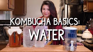 Kombucha Basics: Water