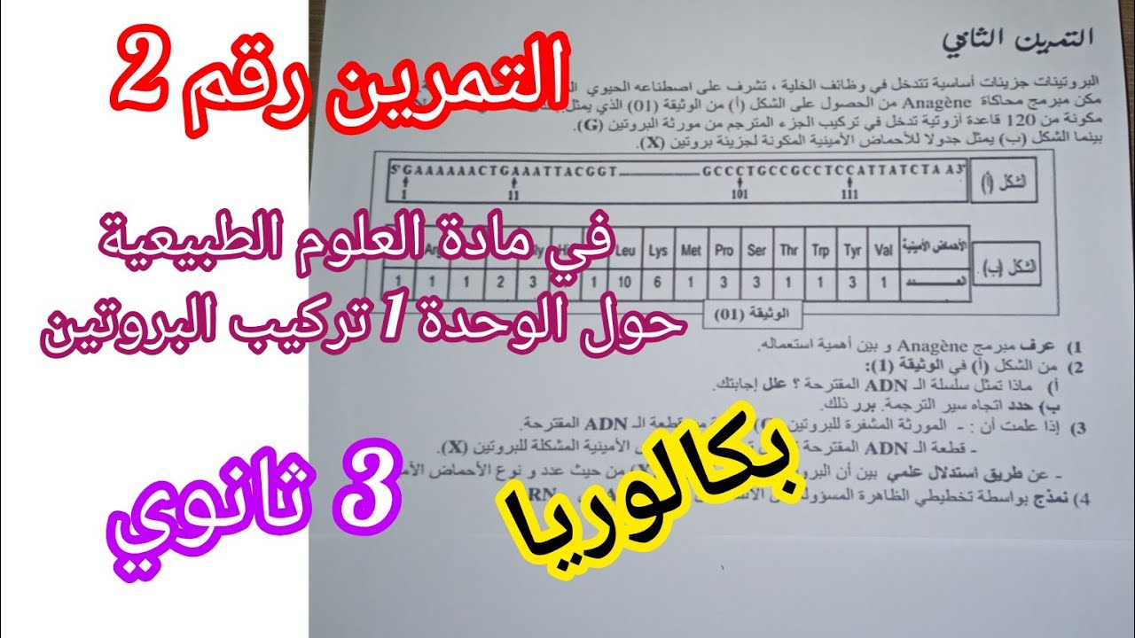 التمرين رقم2 في مادة العلوم الطبيعية حول الوحدة1: تركيب البروتين للسنة 3 ثانوي/بكالوريا
