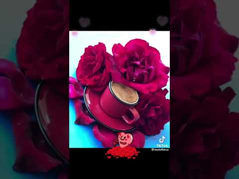 سلملي عاليه ام كلثوم لايك او متابعا حبايب