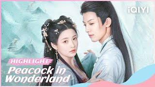 🦚Highlight: The Peacock Holy Envoy is Accidentally Selected | Peacock in Wonderland | iQIYI Romance