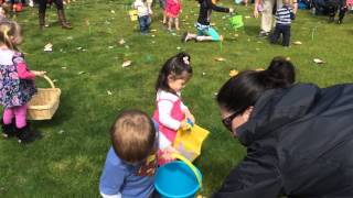 Avery's First Easter Egg Hunt