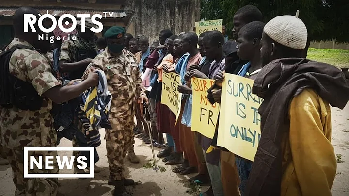 Massive Surrender: District Heads, Worry Over the Reintegration of Repentant Terrorists