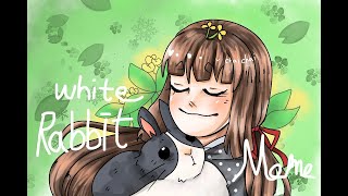 White Rabbit (大白兔奶糖) Meme
