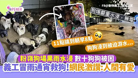 热心义工黑雨赶入粉岭狗场通宵救狗    网民激赞：人间有爱！｜01开罐｜流浪动物｜动物义工｜猫狗之家 - 天天要闻