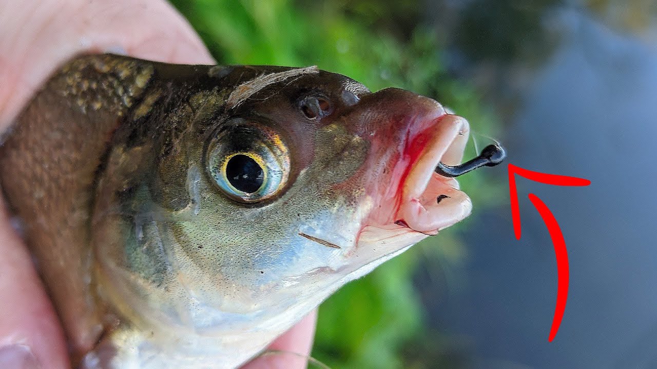 У ВАС Таких Ще НЕМА) Розловлюю НОВІ Мормишки Бічним Кивком. Окунь, Плотва. Безмотилка в Україні 2005