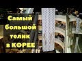 Дэгу. Самый большой телевизор, Мстители, Zip Line в Корее