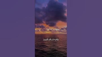 ويشفِ صدور قومٍ مؤمنين | سالم البوسعيدي#اكسبلور #قرآن #قران #سورة_التوبة