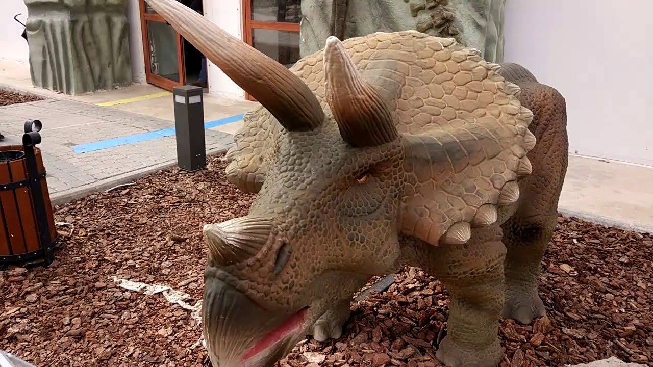 Karşıyaka Evrensel Çocuk Müzesi Ve Eğitim Kampüsü, Dinozor Park - Youtube