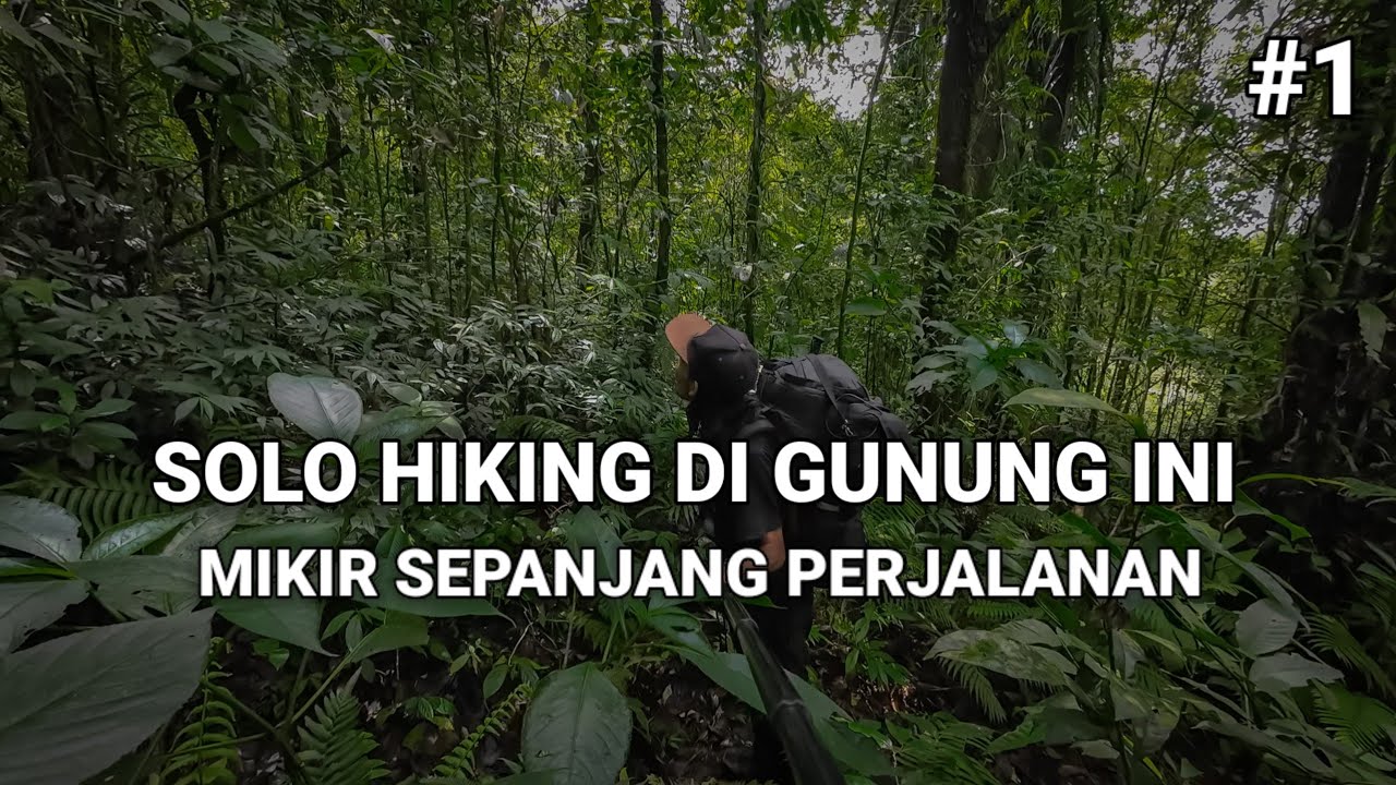 JALUR WILIS PALING TERTUTUP - SOLO HIKING GUNUNG WILIS VIA CANDI PENAMPIHAN #1