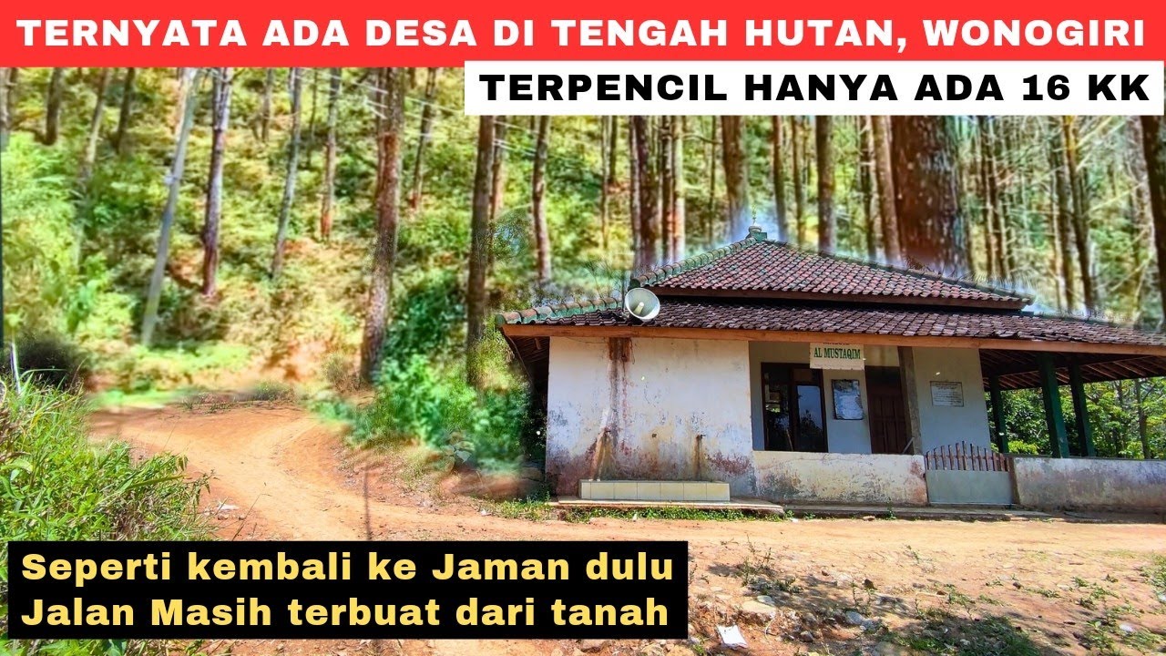 Seperti Kembali ke tahun 70an, Desa Terpencil di tengah Hutan Belantara Lereng Selatan Gunung Lawu‼️