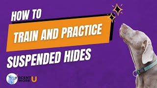 How to Work a Suspended Hide