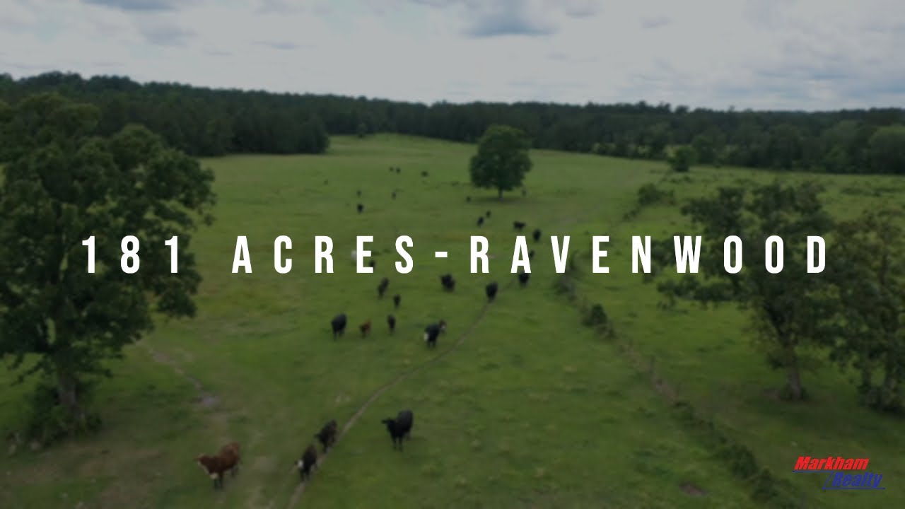 181 Acres Ravenwood Road YouTube