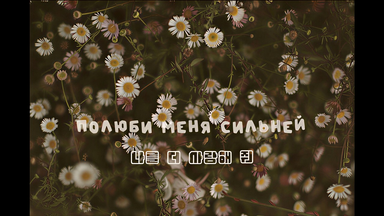 넌 그냥 날 사랑만 해 줘,,,,🌼💗полюби меня сильней - Nikitata