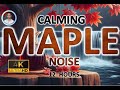 Calming maple brown noise  12 hours black screen  study sleep tinnitus relief  focus
