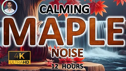 Calming Maple Brown Noise | 12 Hours BLACK SCREEN | Study, Sleep, Tinnitus Relief & Focus