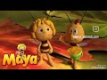 Maya's Adventure in a Short Film 🐝