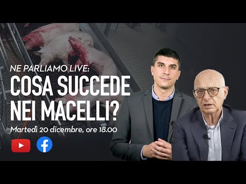 Cosa succede nei macelli? La LIVE!