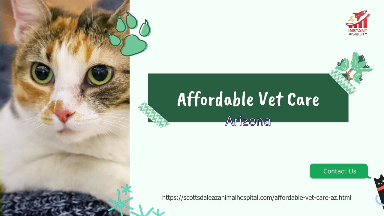 Affordable Vet Care Arizona YouTube