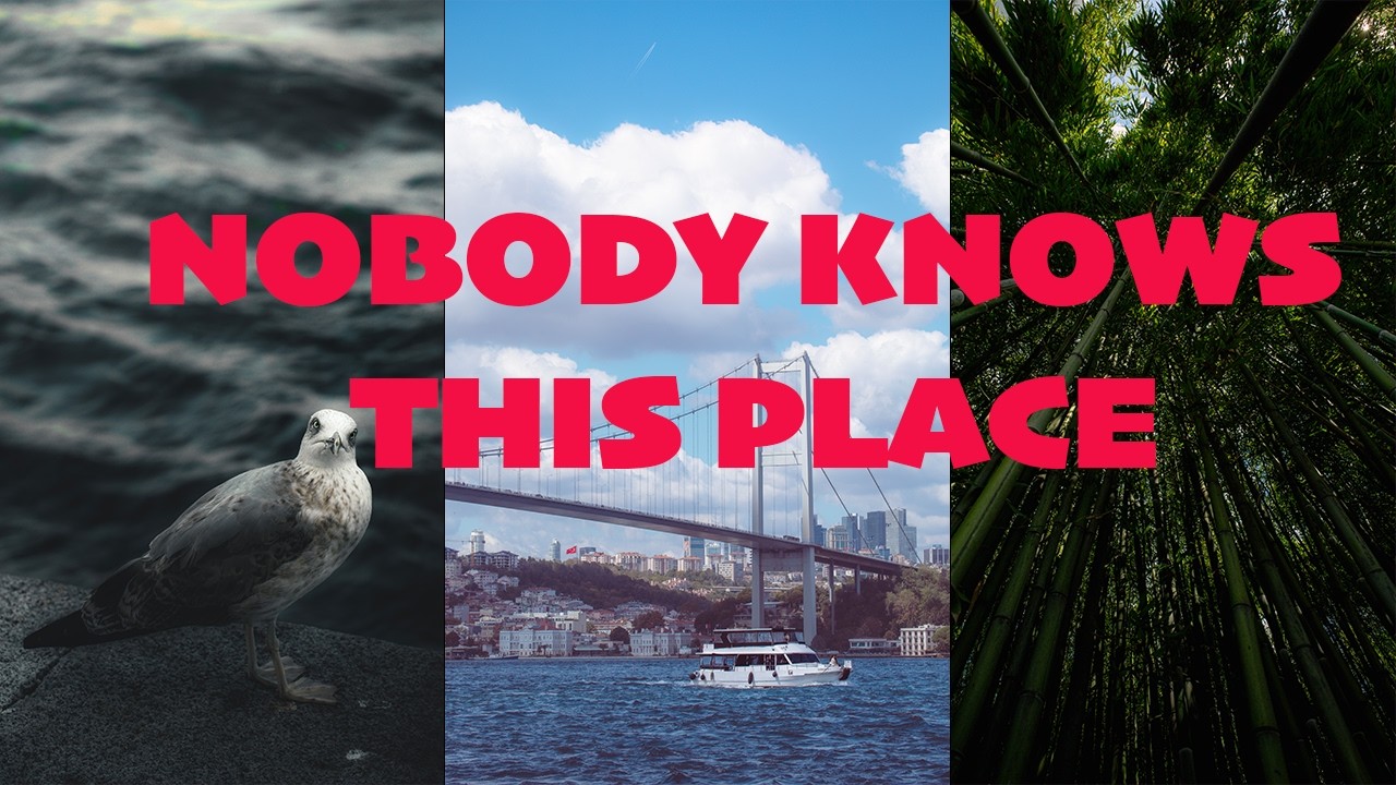 ТАКОГО ВИДА ВЫ БОЛЬШЕ НИГДЕ НЕ УВИДИТЕ! 🌊 | Ченгелькёй и дворец Бейлербей (Популярные кафе)