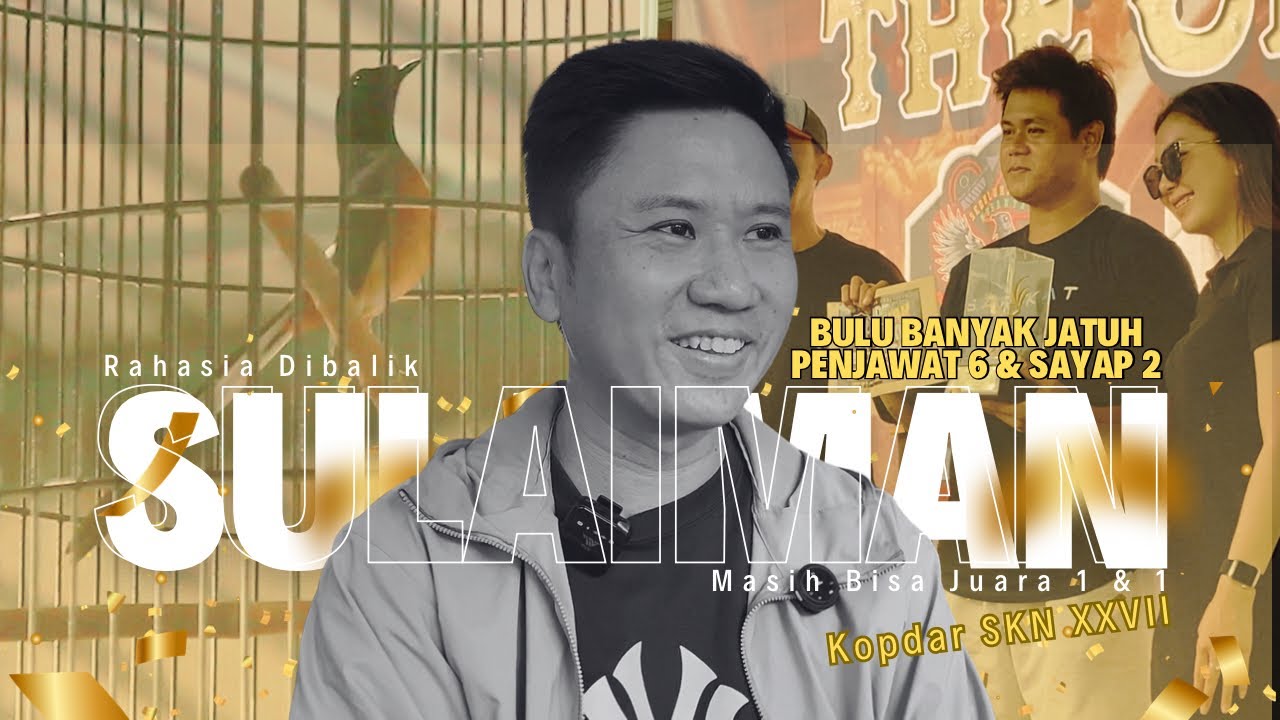 Bulu Banyak Ambrol‼️Ada Rahasia Sulaiman Masih Bisa Juara 1 & 1