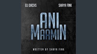 Video thumbnail of "Shaya Fink - Ani Maamin"