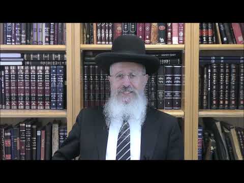 הרב הגאון אברהם יוסף שליט"א מה הדרגה של חוטבי עצים לבית המקדש