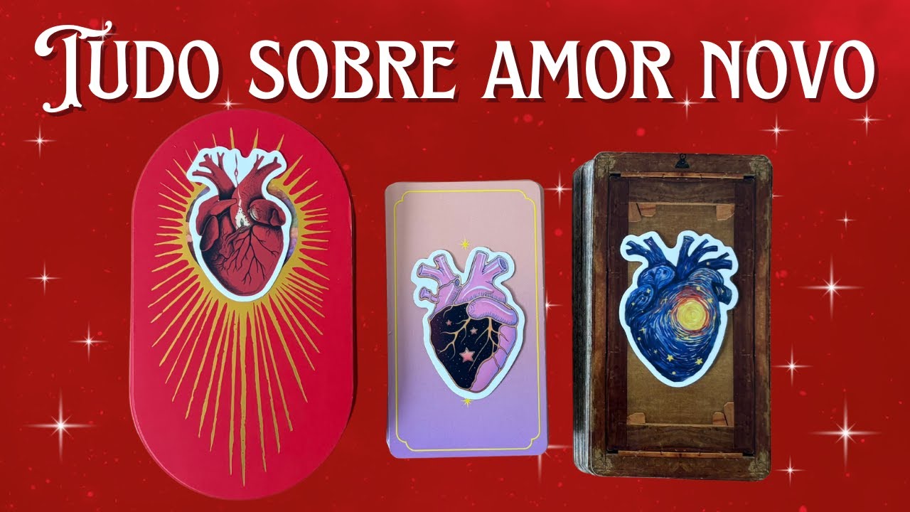🫀TUDO SOBRE AMOR NOVO🫀