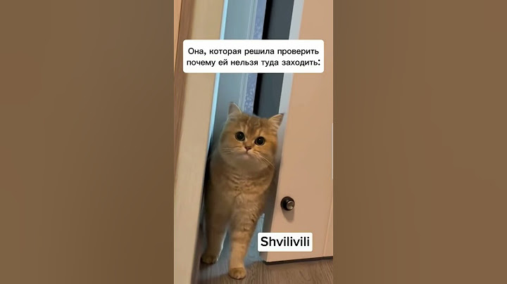 Пожалела что не послушалась!😁 #коты #приколы #юмор #смех #жиза